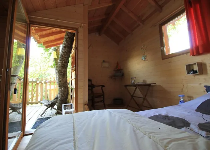 Nuits Perchees A Laroque * Saint-Antoine-de-Breuilh